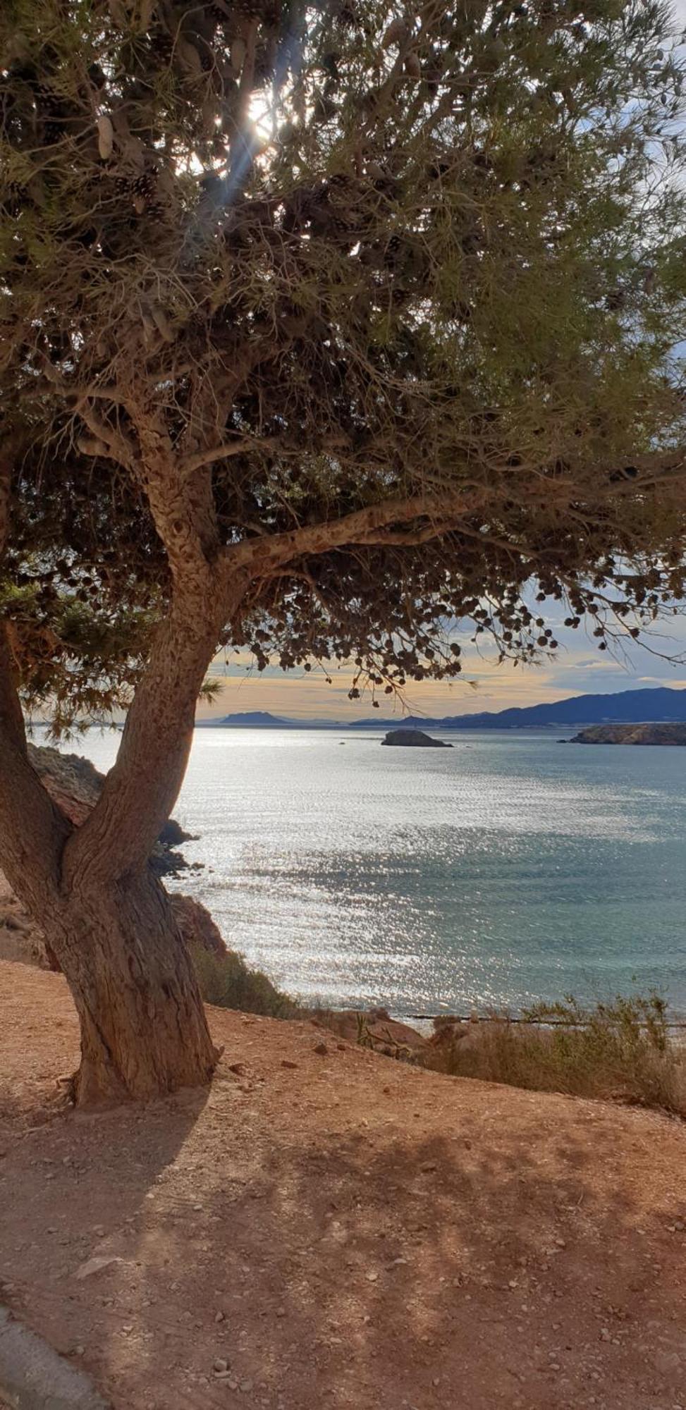 Acogedor Apartamento De Playa Puerto de Mazarron Bagian luar foto